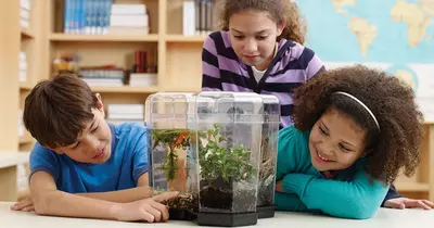 Решения для кабинетов физики, химии и биологии с оборудованием PASCO