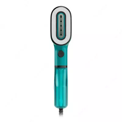 TEFAL DT2024 bug'lagichi