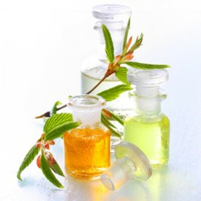 Veda Vedica, Aasha Herbals, Bliss Style, Lady Henna, Synaa