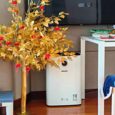 HEPA va uglerod filtrlari