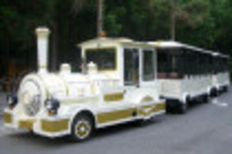 Изготовление аттракционных поездов