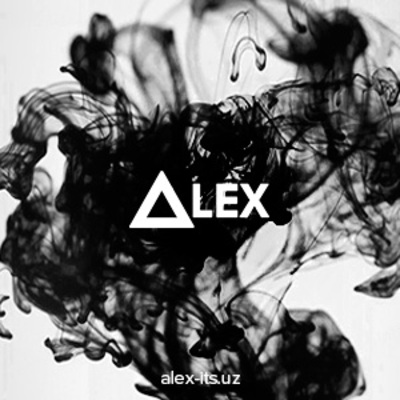 OOO "ALEX INFORMATION TECHNOLOGY SERVICE"