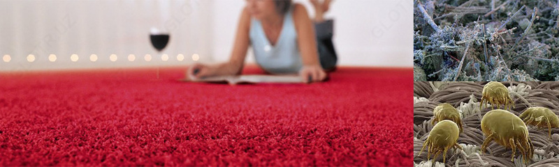 Химчистка ковров