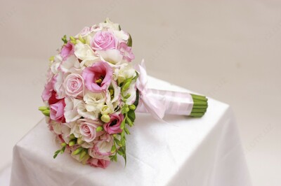 Флористика