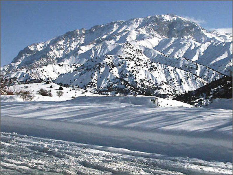 Обучение программе Corel Draw Продвинутый - 400 000 сум