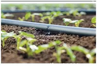  ЭКОФЛЭТ гибкий двухслойная лента  90 мм Agro Tomchi