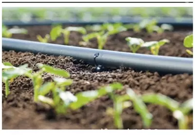  ЭКОФЛЭТ гибкий двухслойная лента  90 мм Agro Tomchi