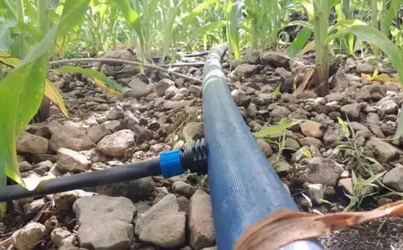  Tomchilatib sugorish uchun lenta nanoemitteri atlantic d22 - 1  6 l soat L122-18-020-016 0 18мм(7mils)/20см - 