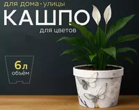 Oq gul uchun gultuvak