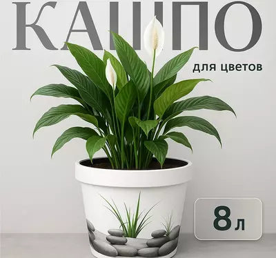 Кашпо для цветов