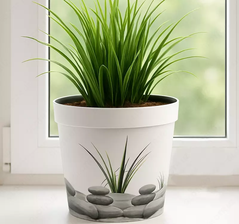 33 000 so'm Gul uchun gultuvak