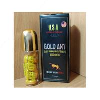 Gold ant