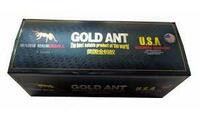 Gold Ant Золотой Муравей