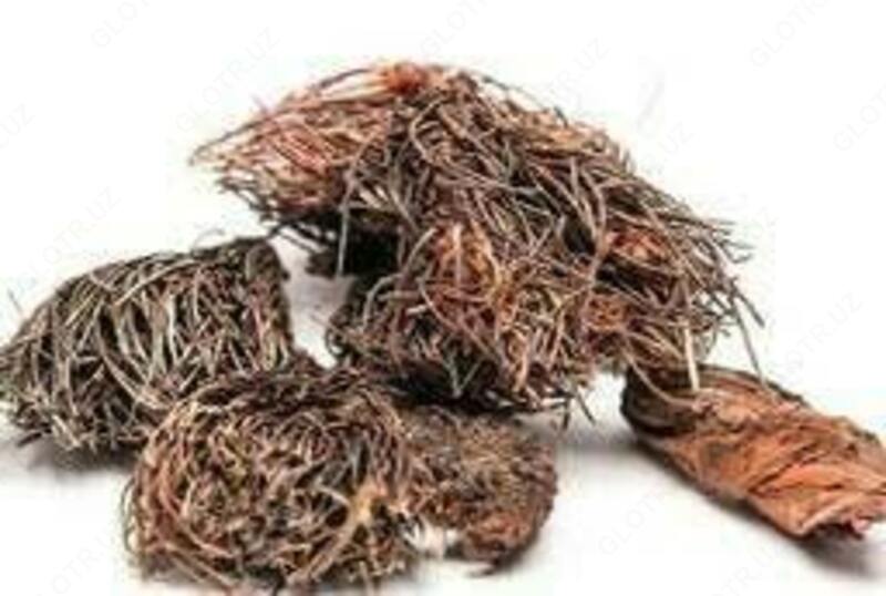  Красная щётка от компании Эвалар купить в Тошкенте - 