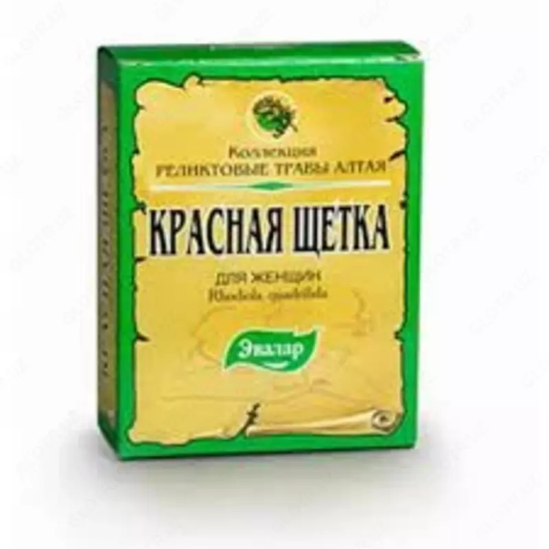 БАД Красная щётка из Алтая от компании Эвалар купить в Ташкенте - 