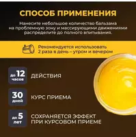  Scorpionix (Скорпионикс)® натуральный бальзам для суставов и здоровья вен купить в Ташкенте Chakana savdo