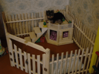  Домашний вольер  манеж для щенков и взрослых собак в Ташкенте  заказ. - 