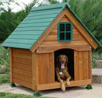   Будки для собак
