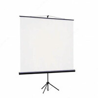 Экран для проектора I-VIEW 1