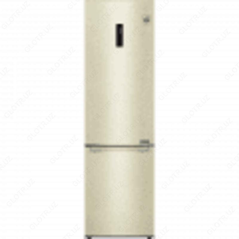 Холодильник LG GC-B509SEDZ