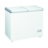 Морозильник ZIFFLER BD-215