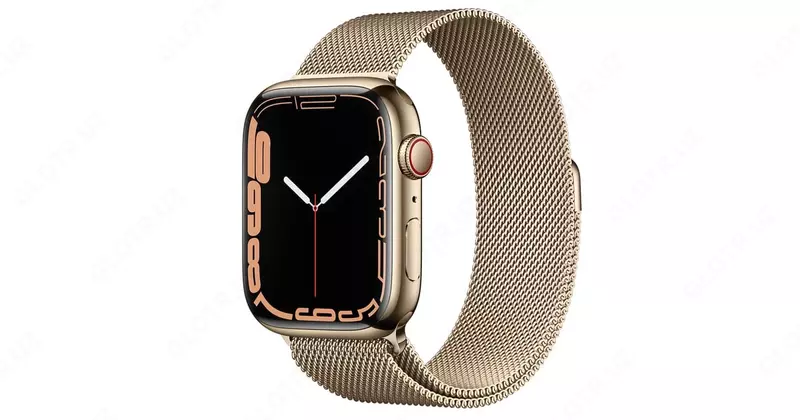  Смарт часы Apple Watch Series 7 GPS 45mm Stainless Steel Case with Milanese Loop - 