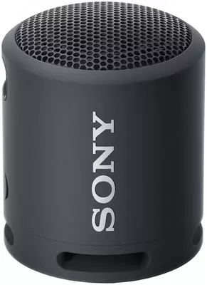 Portativ akustika Sony SRS-XB33
