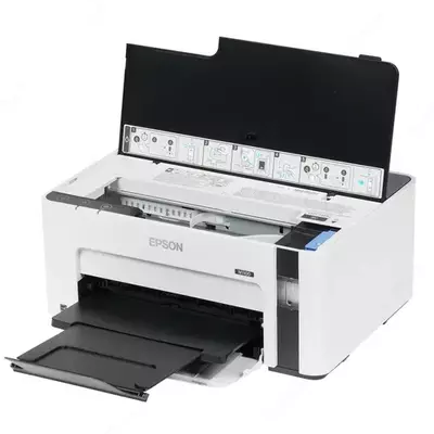 Принтер струйный Epson M1100