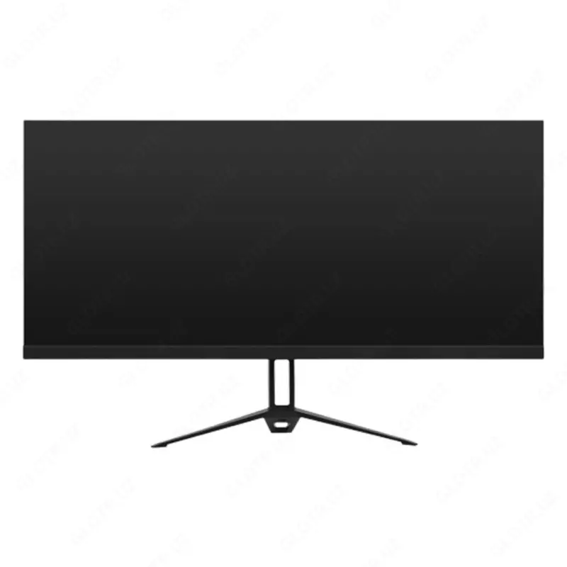 29 Монитор Rulls M2942H