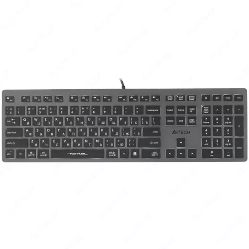 Клавиатура проводная A4Tech Fstyler FX60H