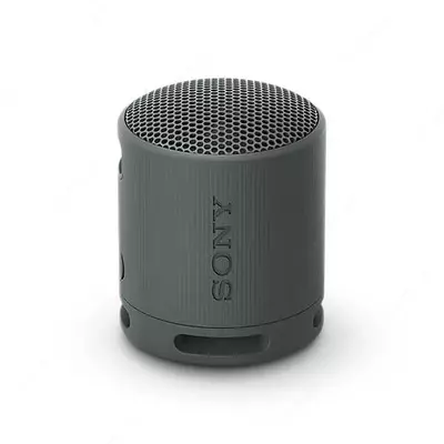 Портативная акустика Sony SRS-XB100