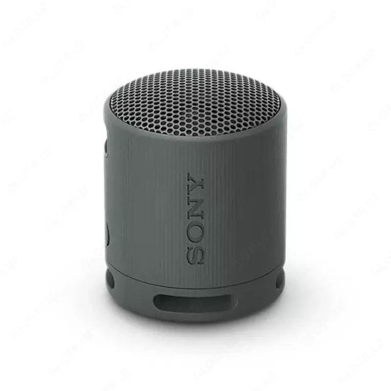 Portativ akustika Sony SRS-XB33