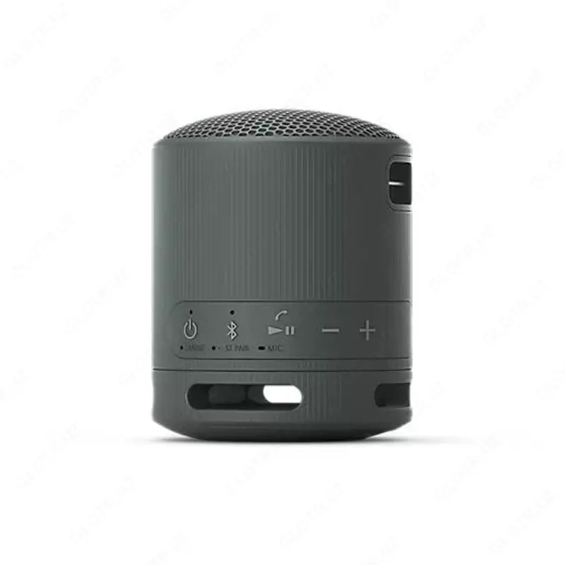 Portativ akustika Sony SRS-XB33