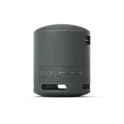 Портативная акустика Sony SRS-XB100