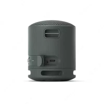 Портативная акустика Sony SRS-XB100