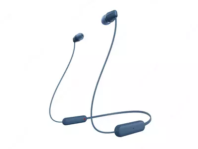 Беспроводные наушники Sony WI-C100