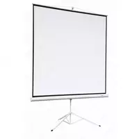 Экран для проектора I-VIEW 2