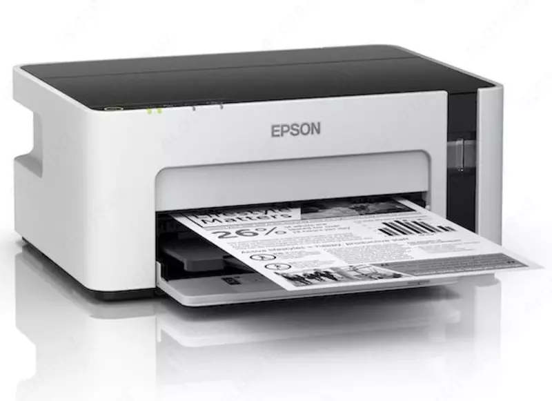 Принтер струйный Epson M1120