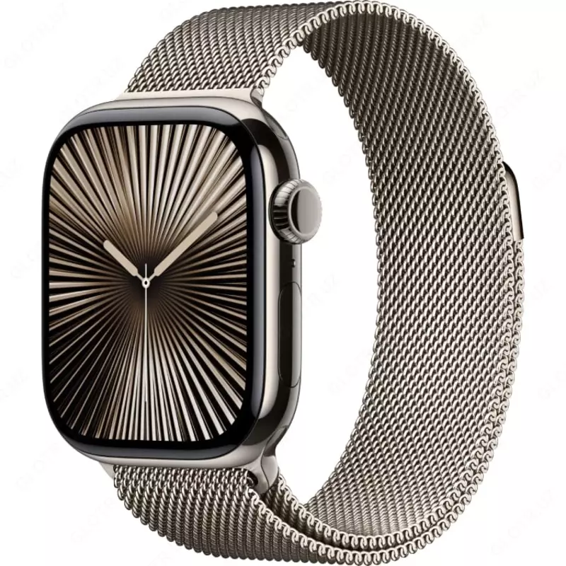 Умные часы Apple Watch Series 10 42mm Titanium Case with Gold Milanese Loop (2024)