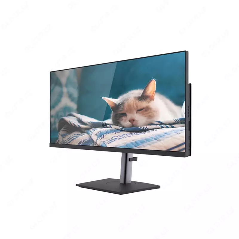 29.5" Моноблок AVTECH GX300 (H510)