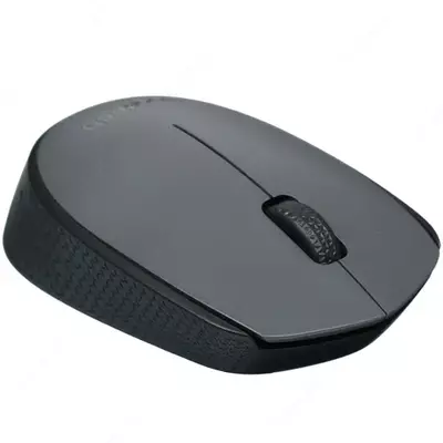 Мышь беспроводная Logitech M170