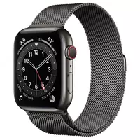 Умные часы Apple Watch 6 Milanese Loop 44mm