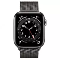  Умные часы Apple Watch 6 Milanese Loop 44mm - 
