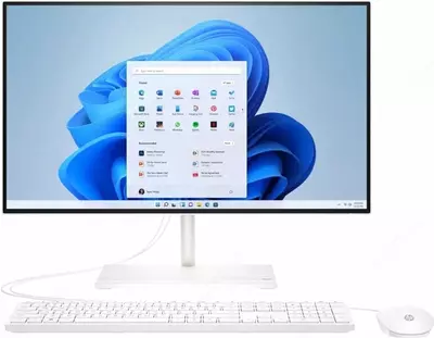 Моноблок HP 24-cr0264l (RS0)