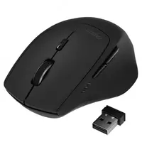 Мышь беспроводная Rapoo MT550