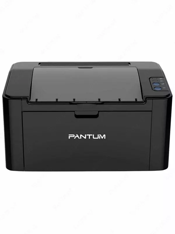 Принтер лазерный Pantum P2503