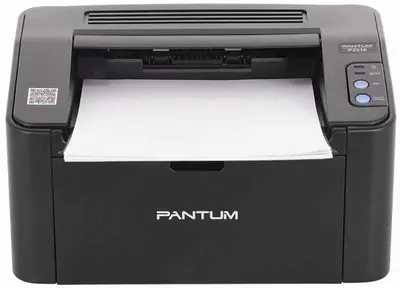 Принтер лазерный Pantum P2516