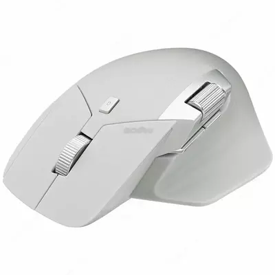 Мышь беспроводная Rapoo MT760L