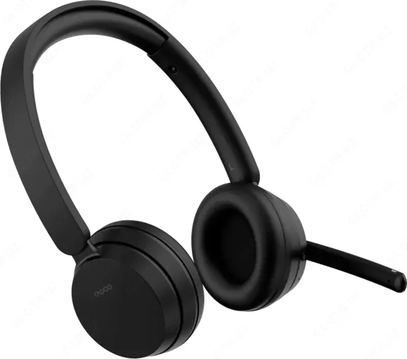 Компьютерные наушники Rapoo H200