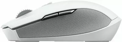 Мышь беспроводная Razer Pro Click Mini